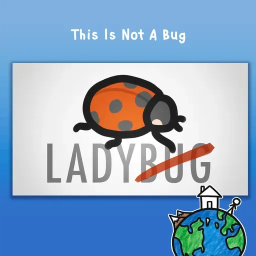This Is Not A Bug