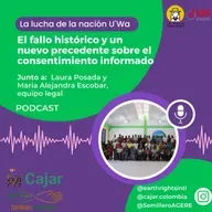La lucha de la Nación U’wa ante la CorteIDH: ¿Cómo llevar casos de DDHH ante instancias internacionales? 2/3