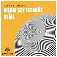 Cadı Avları Nasıl Ortaya Çıktı?