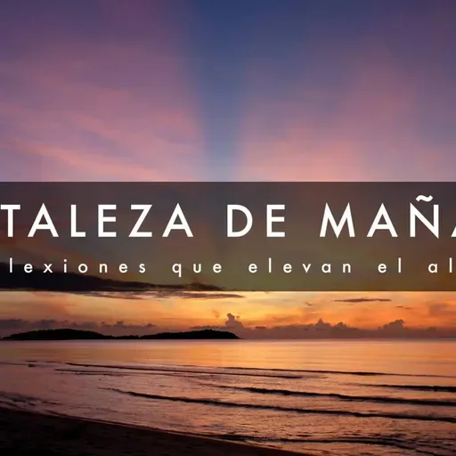 2da Temporada Agosto 21