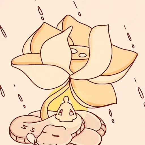 Tịnh hoá Thất Tình Lục Dục…