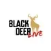 Black Deer Live