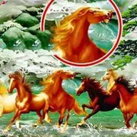 Giải mã tranh 'Mã đáo thành công': Lời chúc ý nghĩa cho năm mới