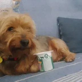 RadioLeo