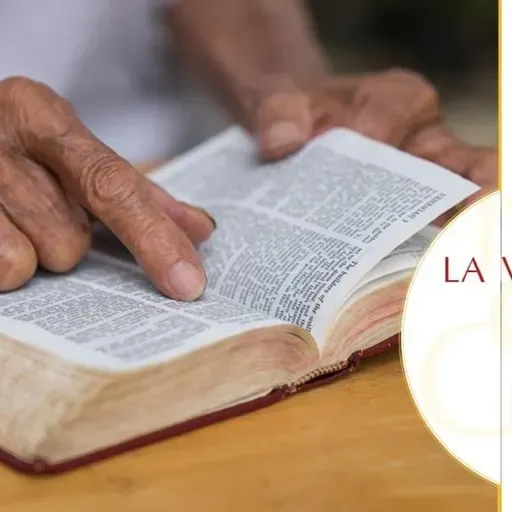 1010 Jueves I Adviento Ciclo A