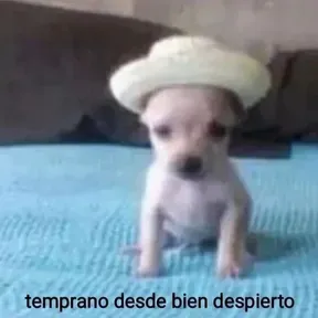 Hache Uve FM