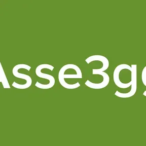 Asse3gg