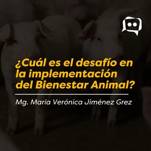 ¿Cuál es el desafío en la implementación del Bienestar Animal?