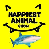 Sharks (with Ocean Scientist David Shiffman)