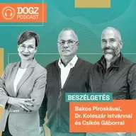Biztonságban szilveszterkor - szakértők tanácsai az év utolsó napjára