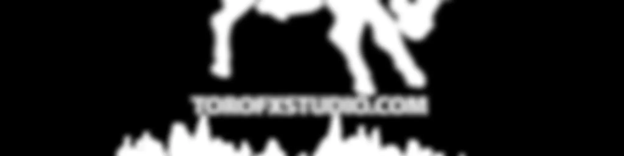 TORO FX Studio El Podcast