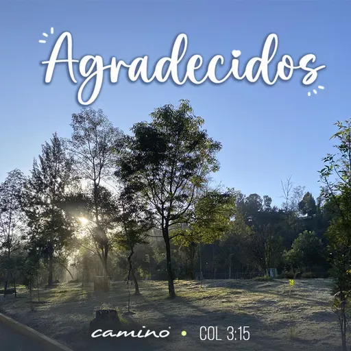 Oración 29 de abril (Agradecidos)