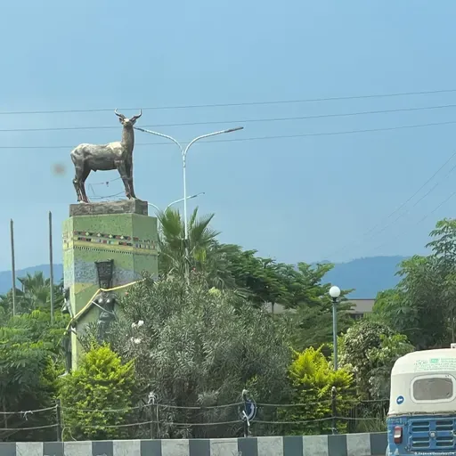 የሐሙስ ታኅሣሥ 9 ቀን፣ 2018 ዓ.ም የዓለም ዜና