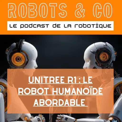 Unitree R1 : le 1er robot humanoïde abordable