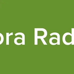 Loomertech Media Network