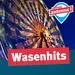 Antenne 1 - Wasenhits