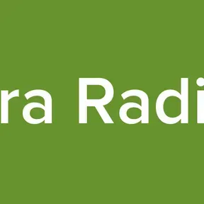 Playera Radio Net