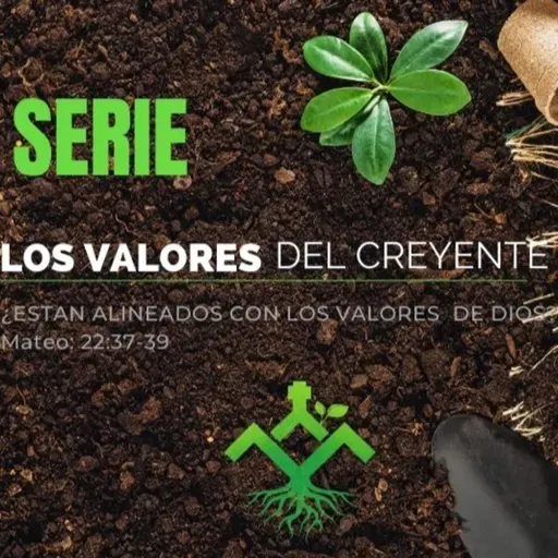 2. VERIFICAREMOS LOS VALORES