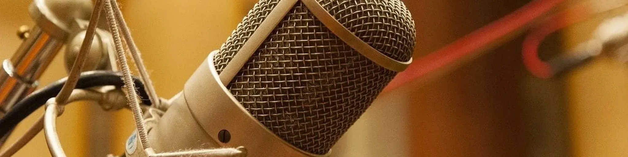 neysinho radio