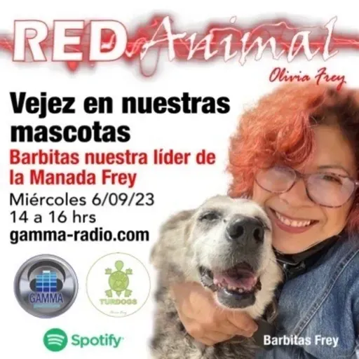 RED ANIMAL CON OLIVIA FREY/VEJEZ EN NUESTRAS MASCOTAS, BARBITAS FREY