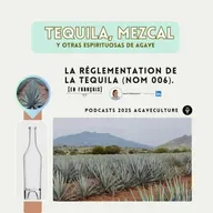 La réglementation de la tequila NOM 006 (en français).