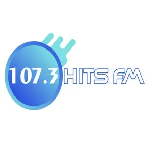 Hits 107.3 FM
