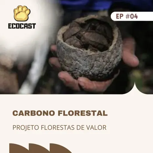 [#ESPECIAL CARBONO] Carbono Florestal