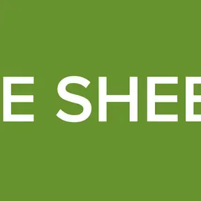 MBE SHEEZY