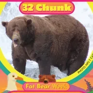 Youth Climate Case, Salmon Run Fattens Bears, The Practice of Re-Enchantment and more.