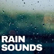 Drops in the Silence: The Gentle Embrace of Rain