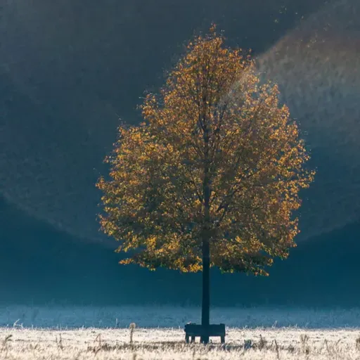 O ESPIRITISMO EM CASA