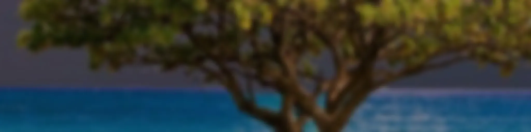 Al Abrigo de Su Gracia