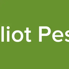 Eliot Pest