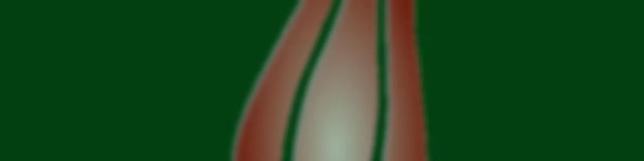 Ahmet Tomor Sohbetleri