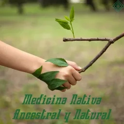 Medicina Nativa