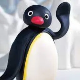 Noot Noot