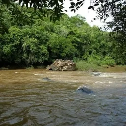 Bem vindos amigos ouvintes