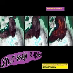 Split-Brain Radio