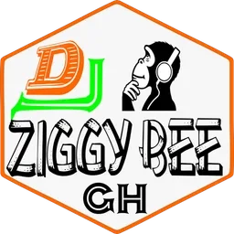 Dj Ziggy Bee Pro