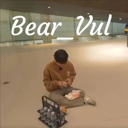 Bear_Vul