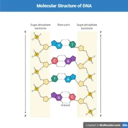 Who discover DNA?