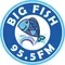 ZFKO Big Fish 95.5