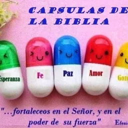 CAPSULAS DE LA BIBLIA