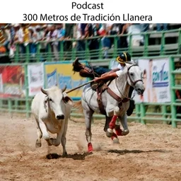 300 Metros de Tradición Llanera