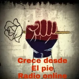 CRECE DESDE EL PIE RADIO ONLINE