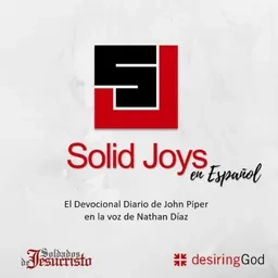 Solid Joys en Español