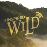 #InspiredWild