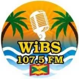 WIBS107