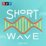 Short Wave