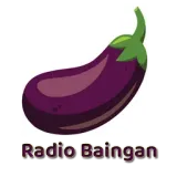 Radio Baingan